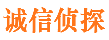 大邑市私家侦探